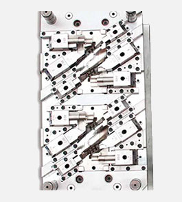 double-color-injection-module